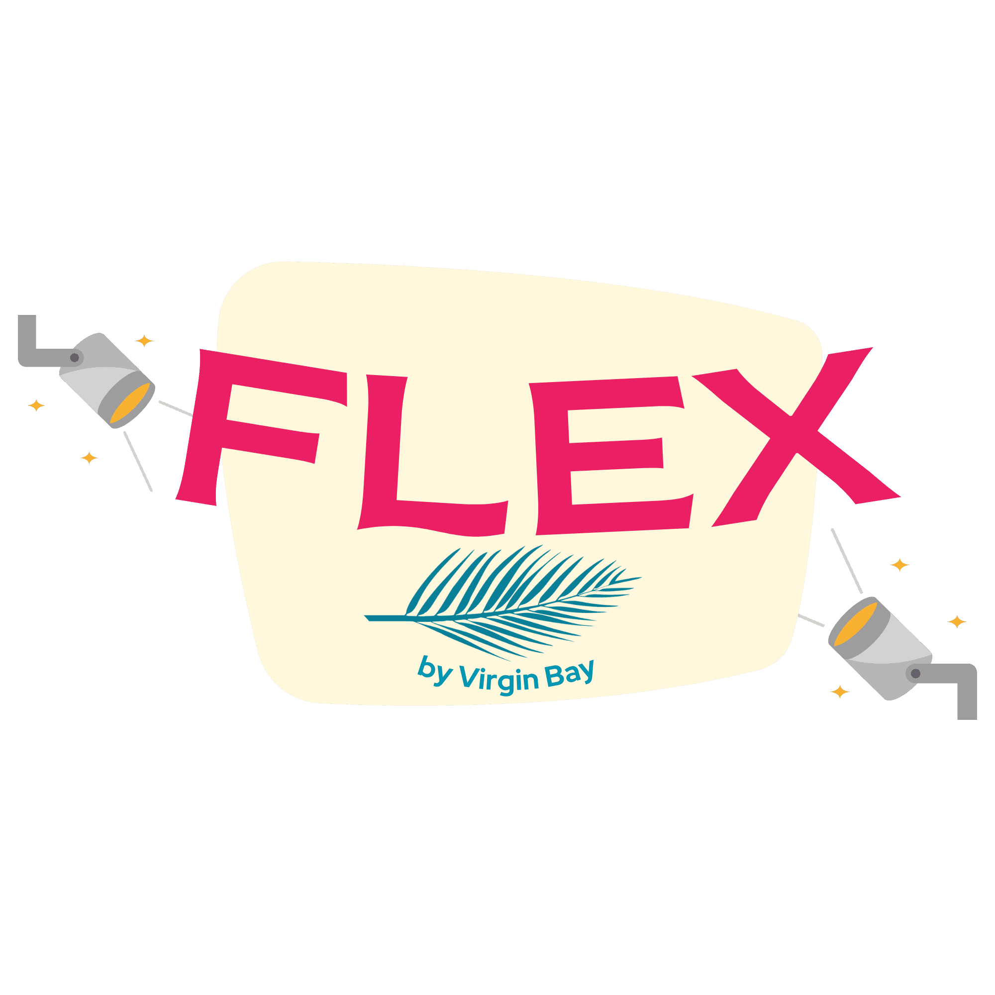FLEX by Virgin Bay logo