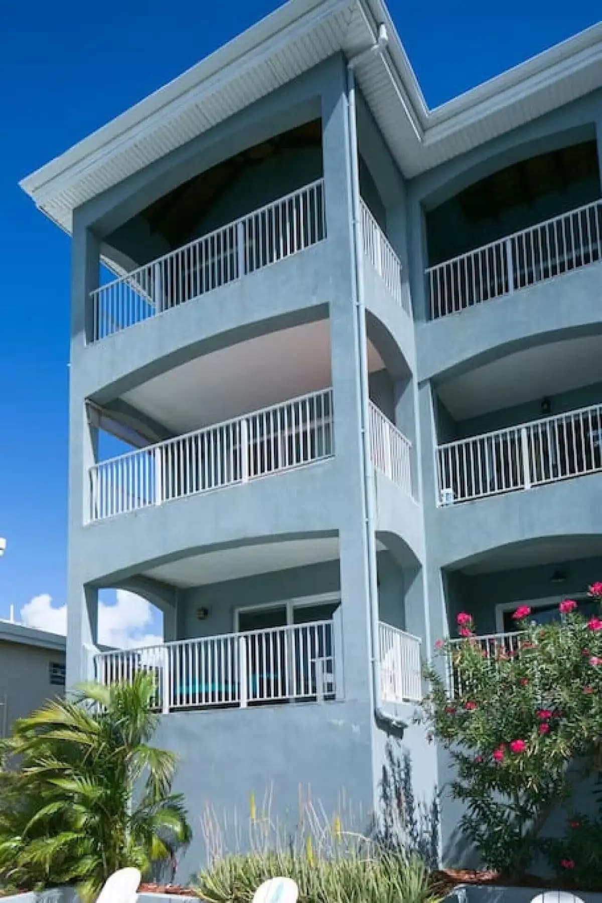 Mango Terrace image 5