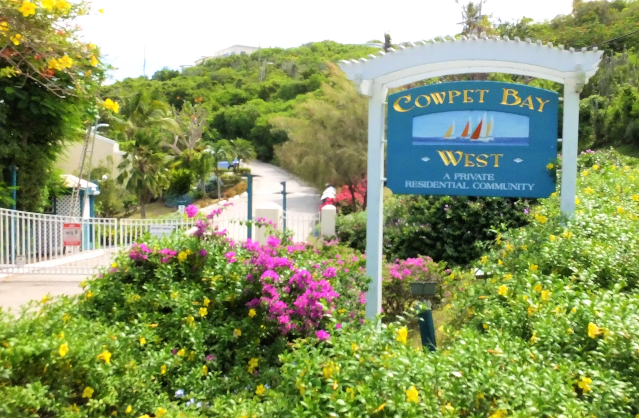 Cowpet Bay West image 3