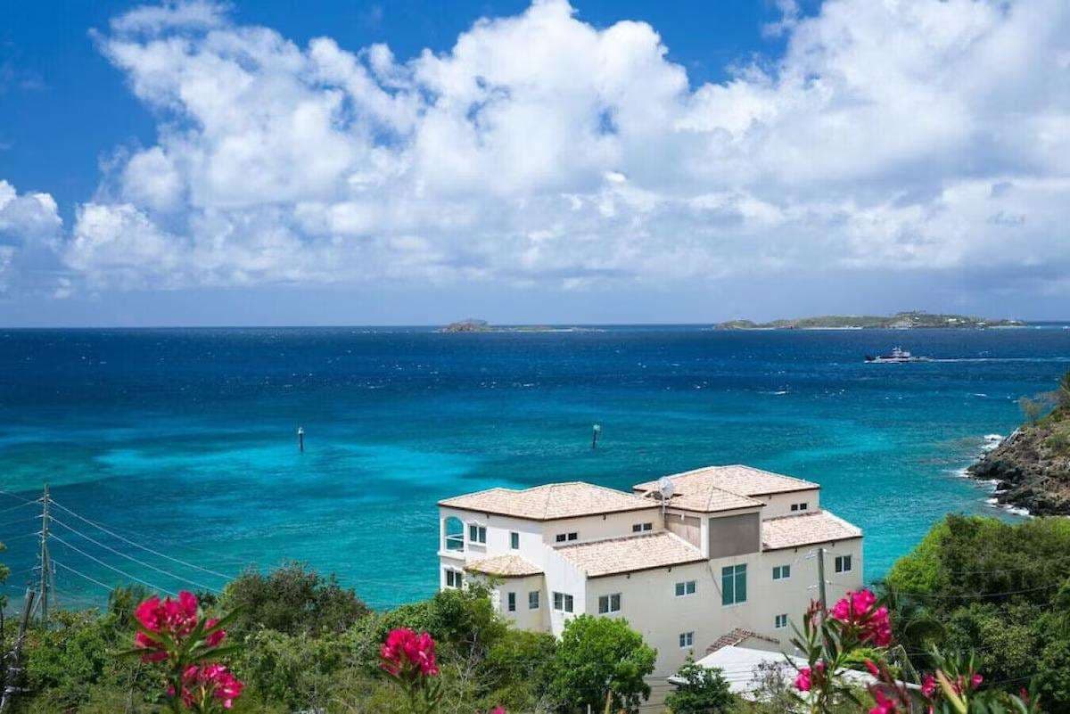 Mango Terrace background